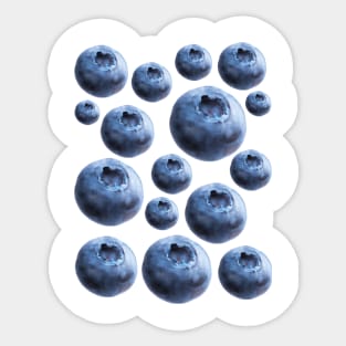 Blueberries Sticker